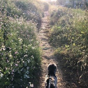 Meet your Posher, Shannon